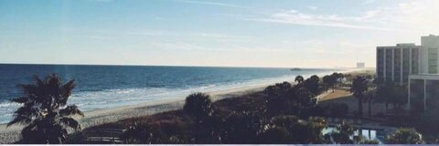 aligoodwinn onlyfans leaked picture 2