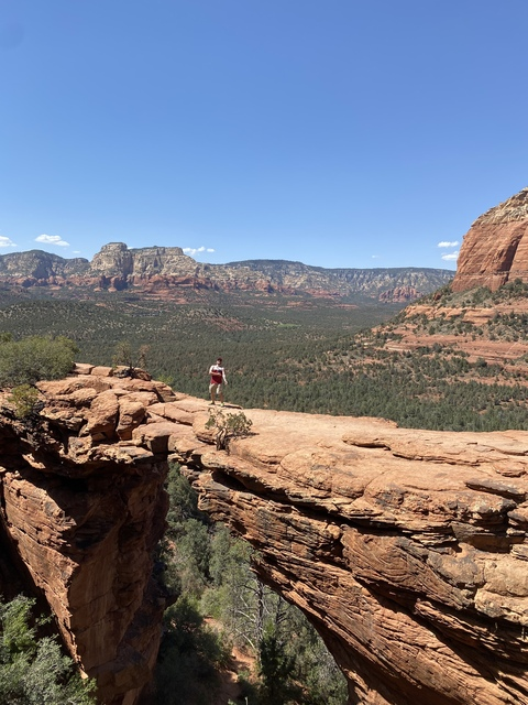 Header of angryorcas