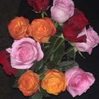 bexxx16 OnlyFans Leaked 

 profile picture