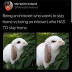 Free access to bunnybums (bunnybums) Leaked OnlyFans 

 profile picture