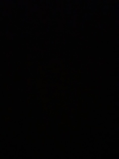 cassielee92 onlyfans leaked picture 2