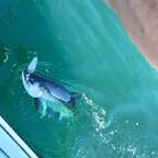 View Hump Nailum (checkmyrod) OnlyFans 49 Photos and 32 Videos for free 

 profile picture