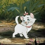 Download cque_b OnlyFans videos and photos free 

 profile picture