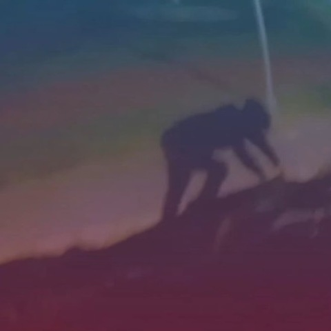 Header of dilftheone