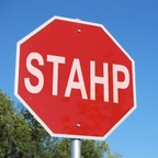 Download fiercexkeke OnlyFans videos and photos free 

 profile picture