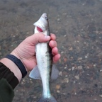 fishingman92 OnlyFans Leaks (49 Photos and 32 Videos) 

 profile picture