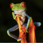 froggystylerh OnlyFans Leaked (619 Photos and 72 Videos) 

 profile picture