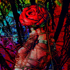 Onlyfans leaked heartlessinlove 

 profile picture