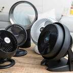 View holyfanz OnlyFans content for free 

 profile picture