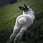 Onlyfans leaks imrichbunny 

 profile picture
