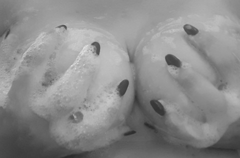 Header of justsexyme