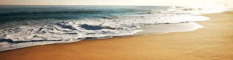 Header of littlecubana