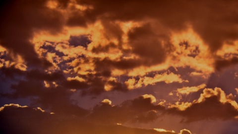 Header of loiscvrs
