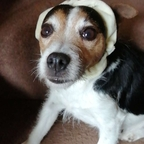 Download lunalovelux OnlyFans videos and photos for free 

 profile picture