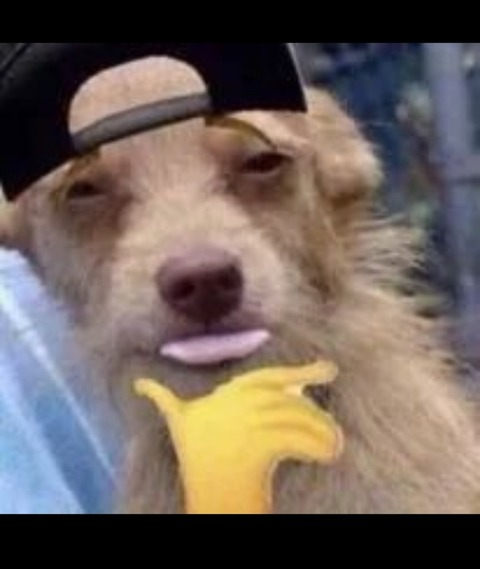 madoka onlyfans leaked picture 2