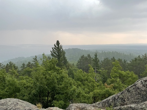 Header of mitten.momma