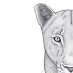 nalla_the_lioness OnlyFans Leaks 

 profile picture