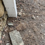 Download natacha33 OnlyFans videos and photos free 

 profile picture