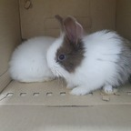 onlyfansthailand OnlyFans Leaked (49 Photos and 32 Videos) 

 profile picture