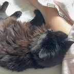 peachbloss OnlyFans Leaks 

 profile picture