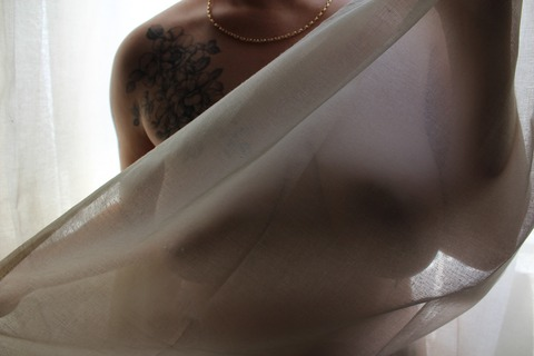 Header of perritpelon