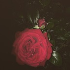 New @phemegreen leaks Onlyfans content free 

 profile picture