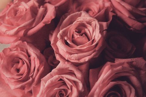 Header of rachel441