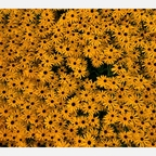 Trending @rainminina leaked Onlyfans videos and photos free 

 profile picture