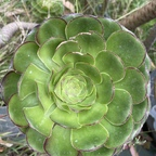 Get Free access to ravebaexxx (Rave Bae) Leak OnlyFans 

 profile picture