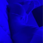 Download sarahmiller8 OnlyFans videos and photos free 

 profile picture