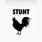 stunttcock OnlyFans Leaks 

 profile picture