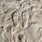 Get Free access to superfeet2121 (Super Feet) Leak OnlyFans 

 profile picture