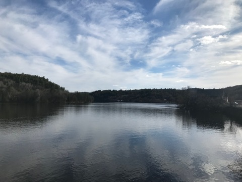 Header of vlmegaslore69420