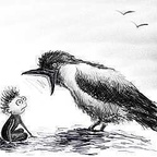 watcherhd OnlyFans Leak (49 Photos and 32 Videos) 

 profile picture