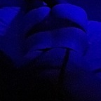 View zena20 (🦋Fire_anddesiire🦋) OnlyFans 454 Photos and 32 Videos for free 

 profile picture